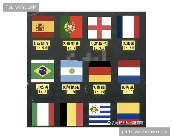2026世界杯各小组头名概率分析