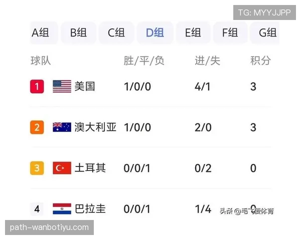 世界杯美国队D组世界排名解析